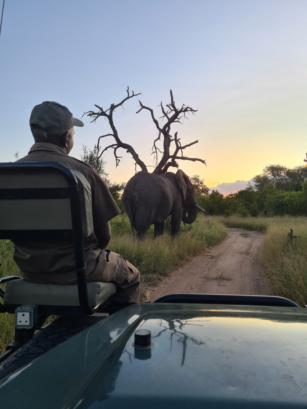 Mid Range Big-5 Private Game Reserve Experience
