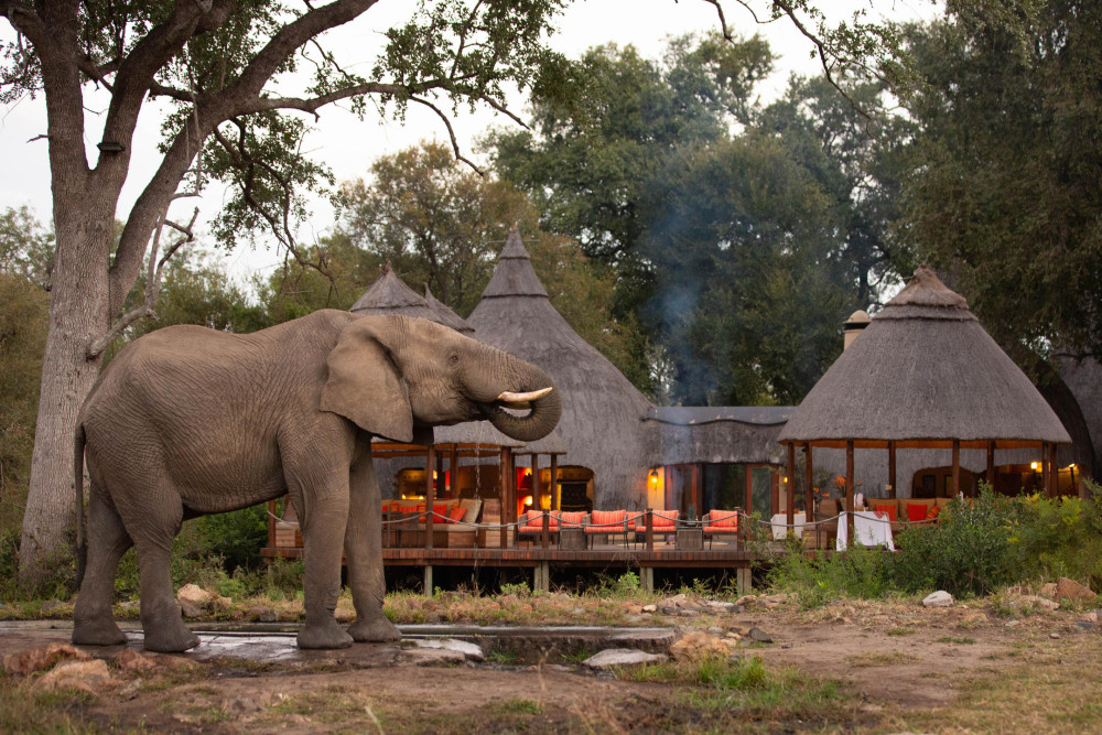 All-Inclusive Kruger Safari with Hoyo Hoyo