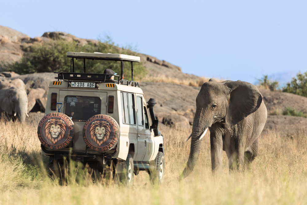 Big 5 Camping Safari & Visiting the Hadzabe