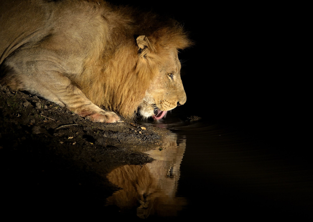 Tanzania Northern Circuit Tented Adventure