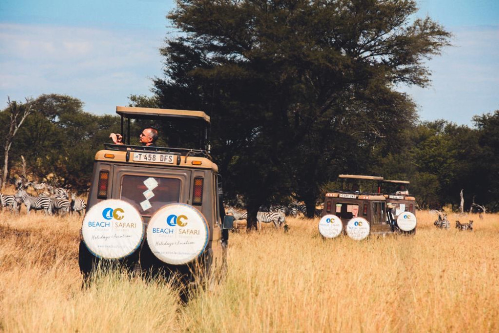 Fly-out Safari Through the Serengeti Glamping