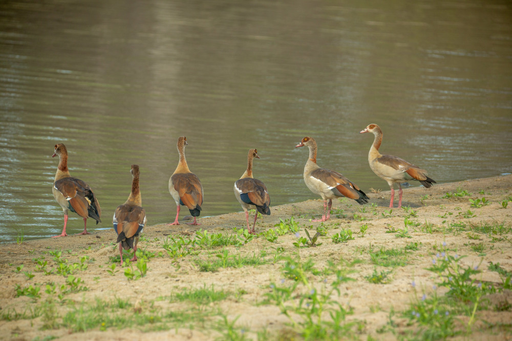 Lake Hopping - Glamping Safari