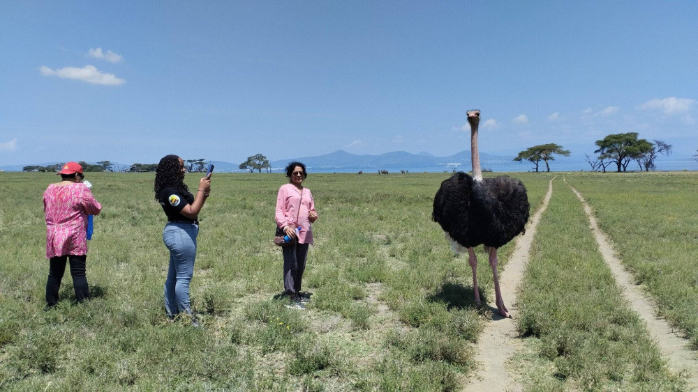 Maasai Mara + Lake Nakuru Private Safari