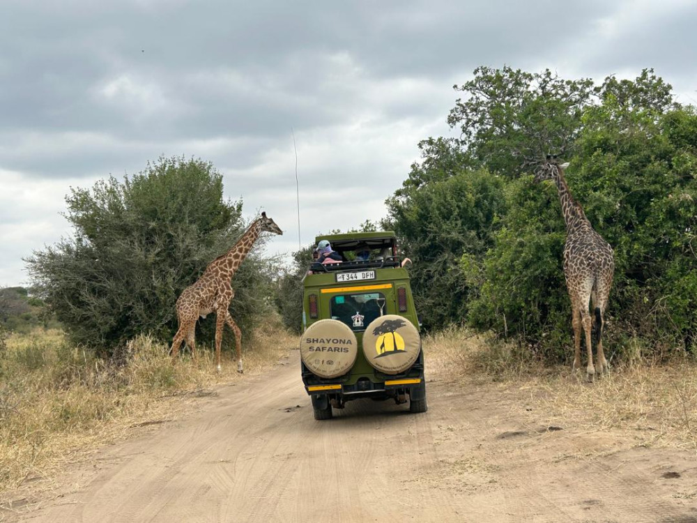 Tarangire National Park Game Drive