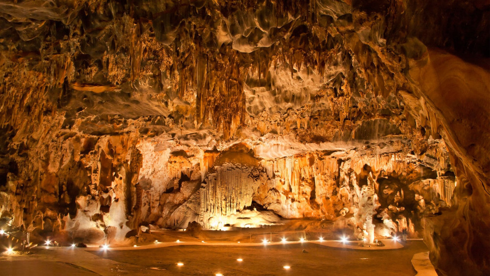 Luxury Garden Route Adventure