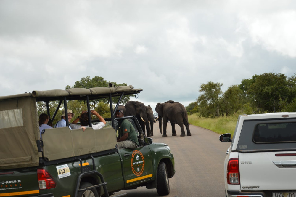 Ultimate Pilanesberg Tour