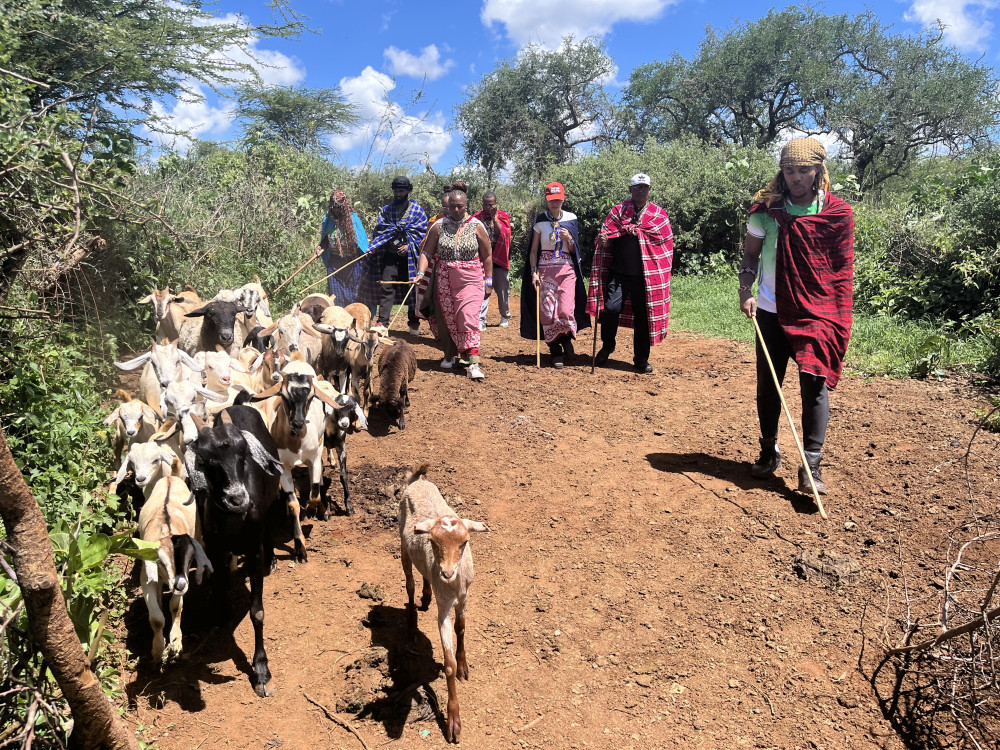 Maasai Village Authentic Experience