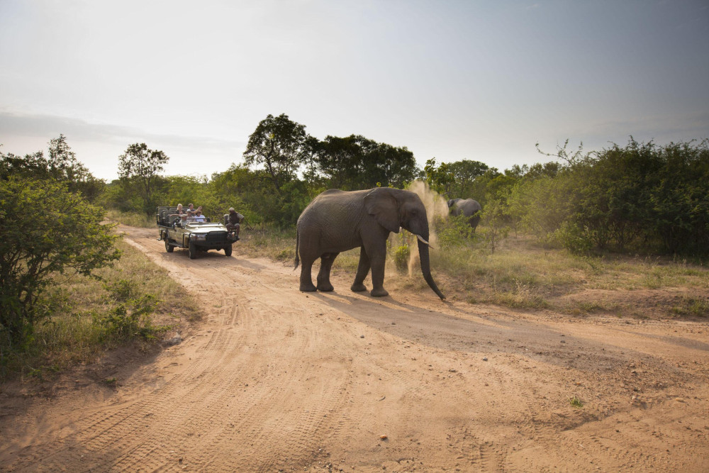 Kapama Southern Camp Safari