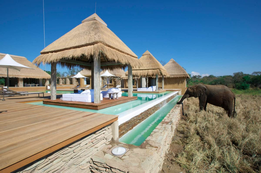 Ivory Tree & Kapama River Lodge Combo Safari