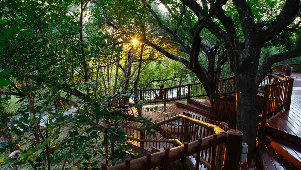 Kruger Island Safari - Starting in Cape Town