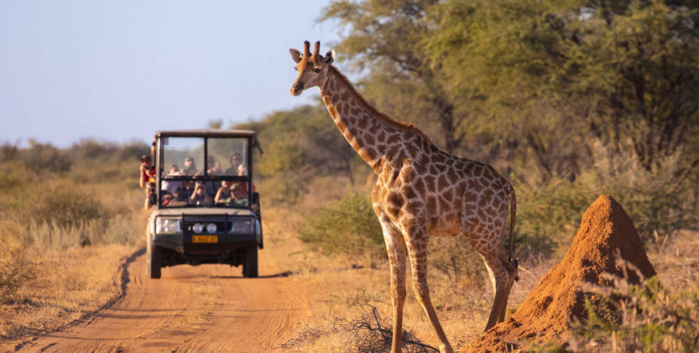 Luxury Ivory Moon Lodge - Fly in from Cape Town