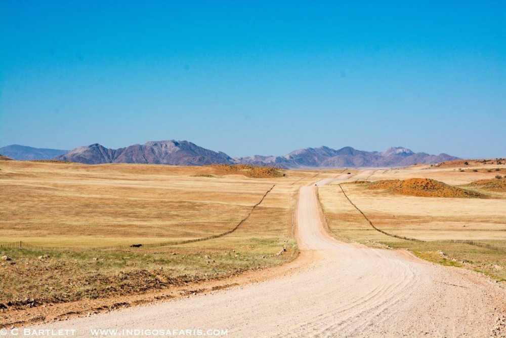 Namibia's Wildlife, Coast and Dunes Safari