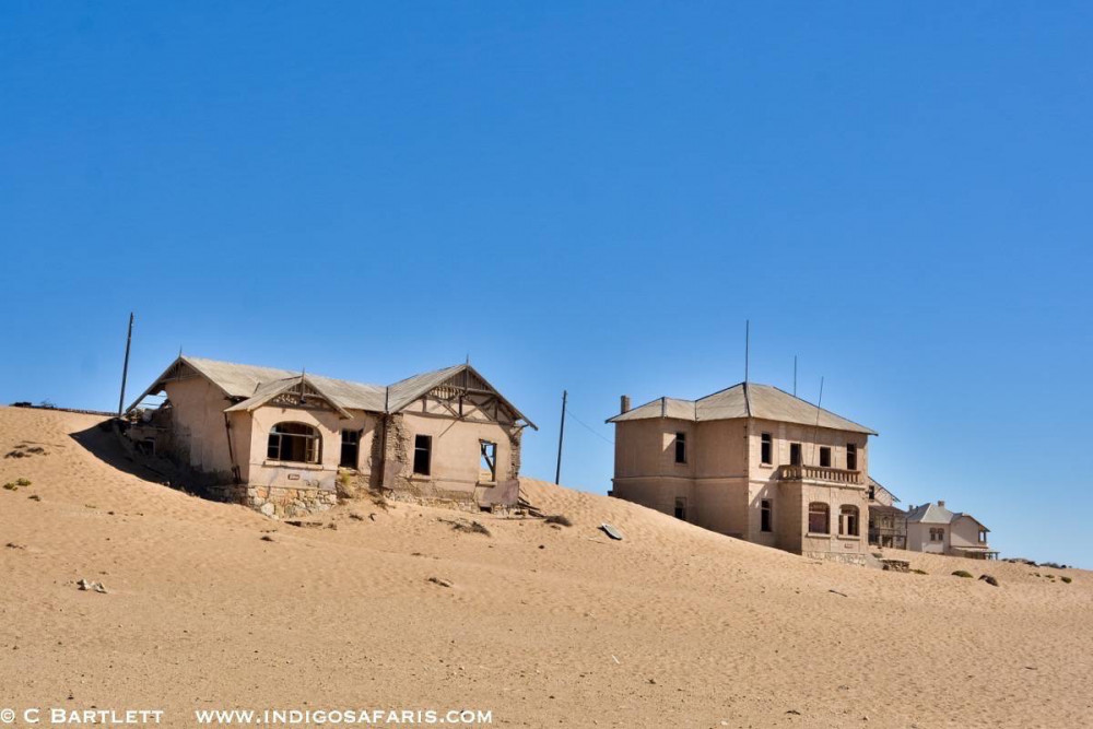 Namibia's Best of North and South Safari