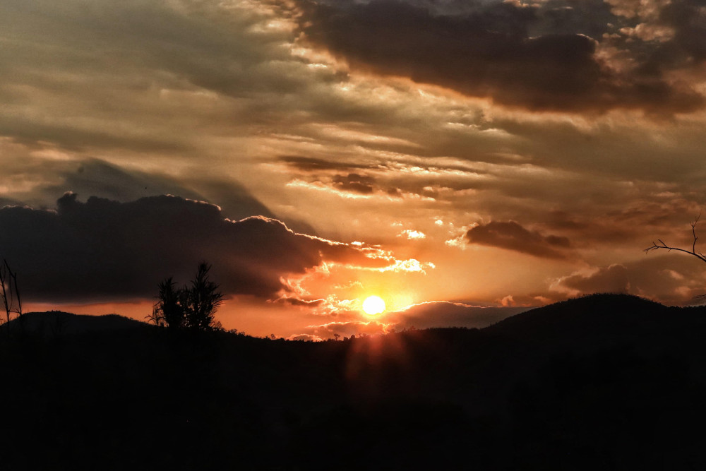 Pilanerberg Night Safari from Manyane & Sun City