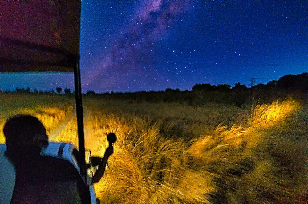 Guided 4x4 Town Safari and Stargazing Experience