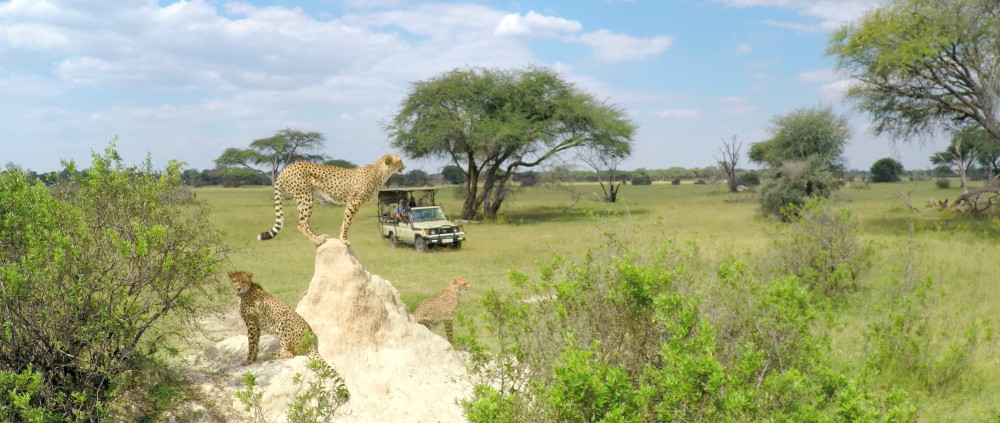 3 Countries - Chobe NP, Victoria Falls & Hwange NP