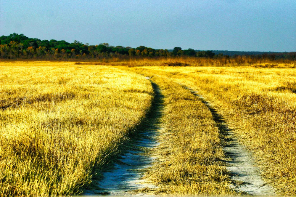 Extended Safari Game Drive - Zambezi NP