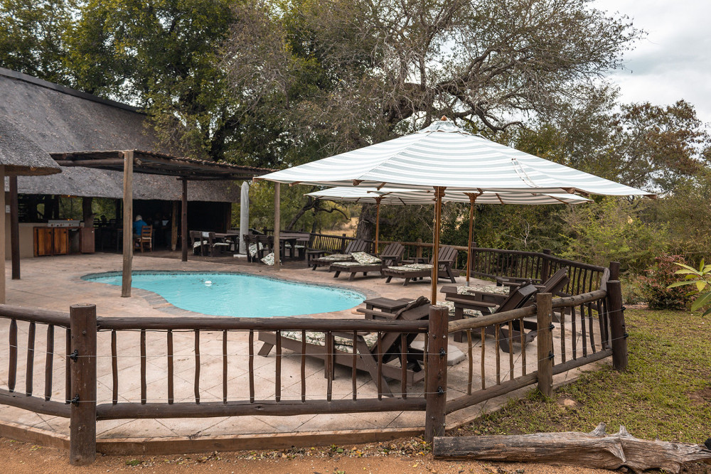 Sabi Sands Umkumbe Bush Lodge Safari