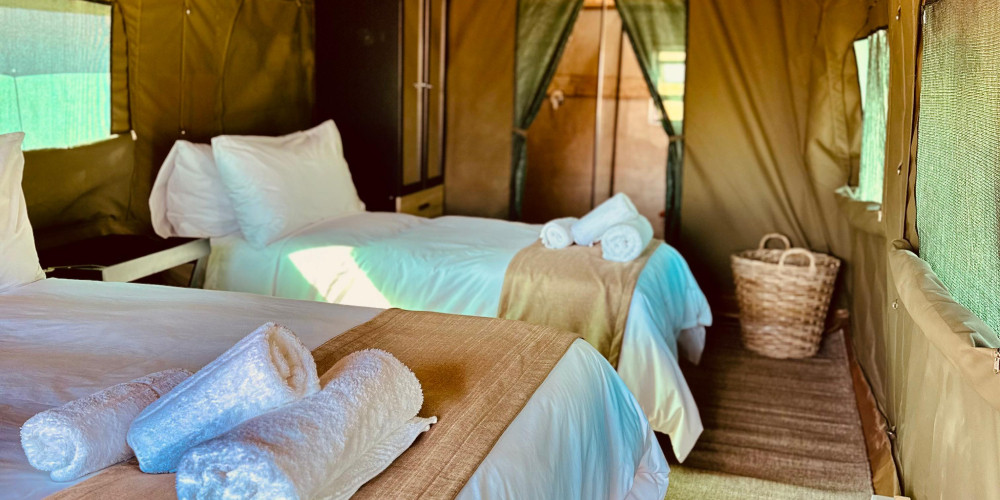 Budget Pilanesberg Camping Safari