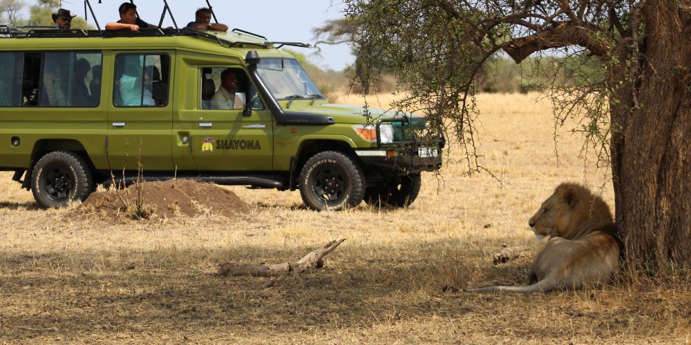 Ultimate Tanzania, a Promising Experience