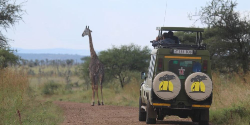 Relaxed and Best of Tanzania (Luxury) Lodges