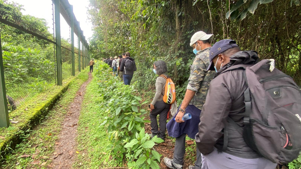 Kalisimbi Volcano Hike Tour