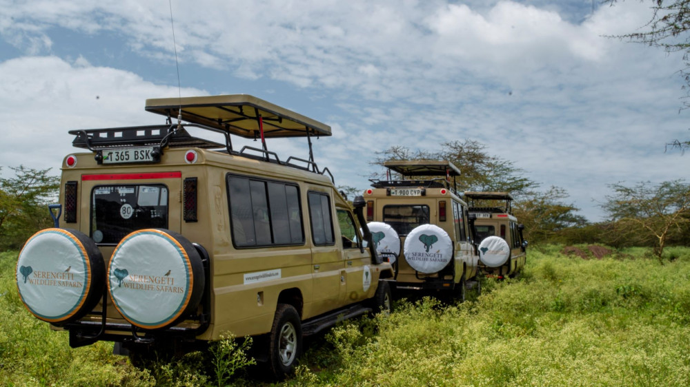 Disvover Tanzania Top Destinations with Us
