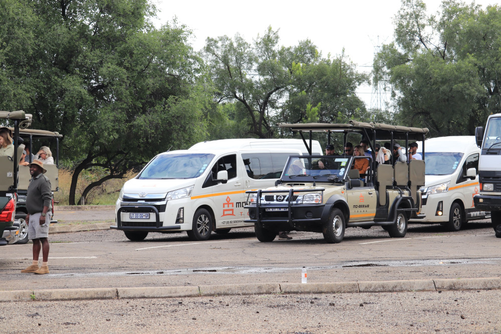Pilanesberg Tlou Tented Safari