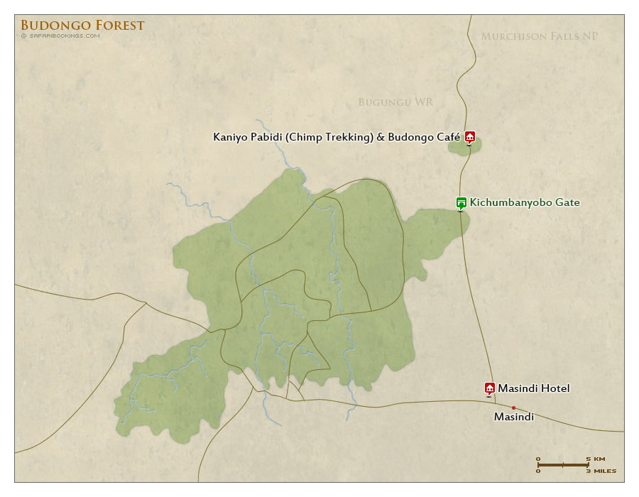 Detailed Map of Budongo Forest