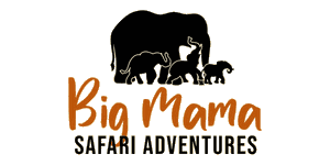 Big Mama Safari Adventures