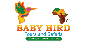 Baby Bird Tours and Safaris