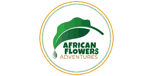 African Flowers Adventures Logo