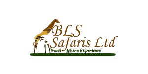 BLS Safaris 