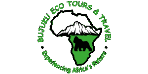 Bujuku Eco Tours & Travel 