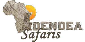 Dendea Safaris