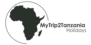 MT2T Holidays and Safaris Logo
