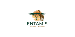 Entamis Tours Logo