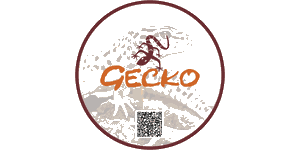 Gecko Adventure Tanzania