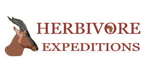 Herbivore African Expeditions Logo