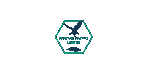 Nowtaz Tours