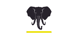 Run Wild African Safaris