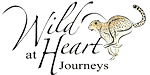 Wild at Heart Journeys Logo