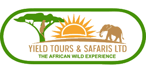 Yield Tours and Safaris Logo