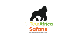 We Tour Africa Safaris