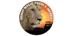 Ernest Magic Tours and Safaris