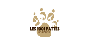 Les 1001 Pattes Horizons Logo