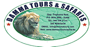 Damma Tours