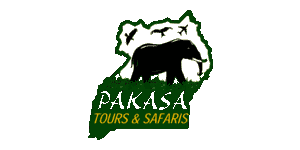 Pakasa Tours and Safaris Logo
