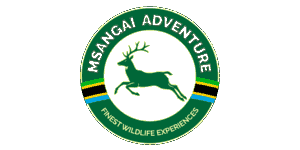 Msangai Adventure Safaris Logo