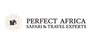 Perfect Africa Logo